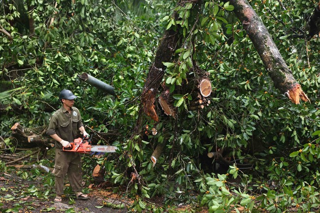 Hà Nội huy động hơn 100 công nhân môi trường dọn dẹp vệ sinh các tuyến phố nội đô - Ảnh 4.